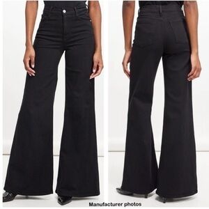 ▶️ Frame ◀️ Le Baggy Palazzo Jeans in Film Noir Black